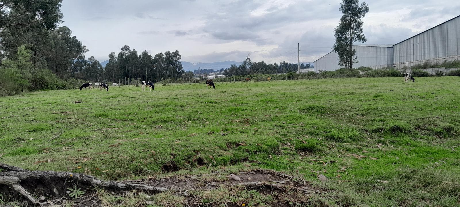 Terreno de Venta en el Valle de Los Chillos, sector Inchalillo. 8973mts. - 1