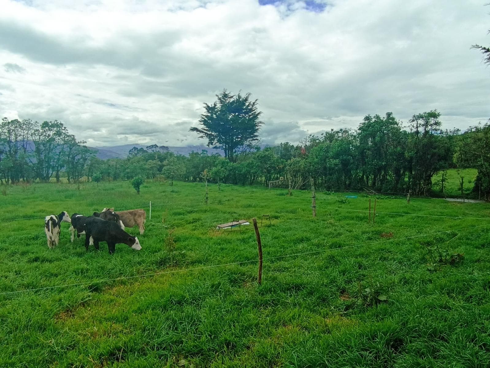Finca en Venta - 1