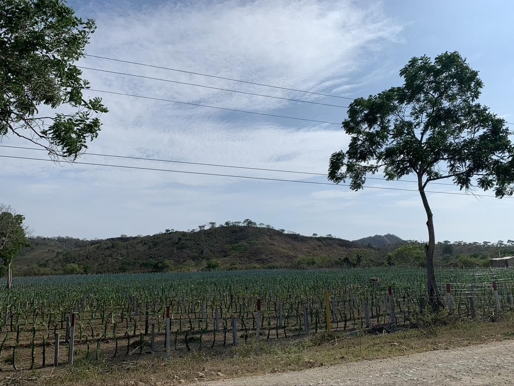 VENTA DE TERRENOS SECTOR OLON - 1