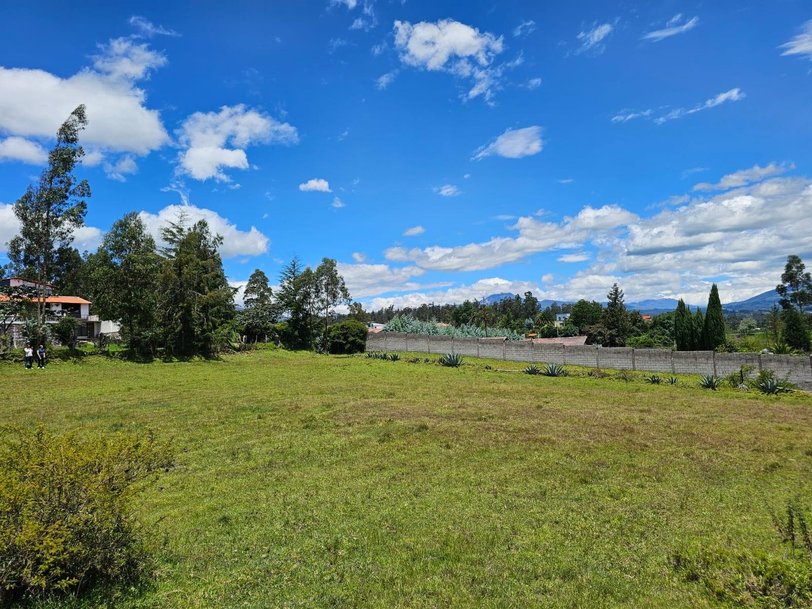 Terreno en Alangasí - 1
