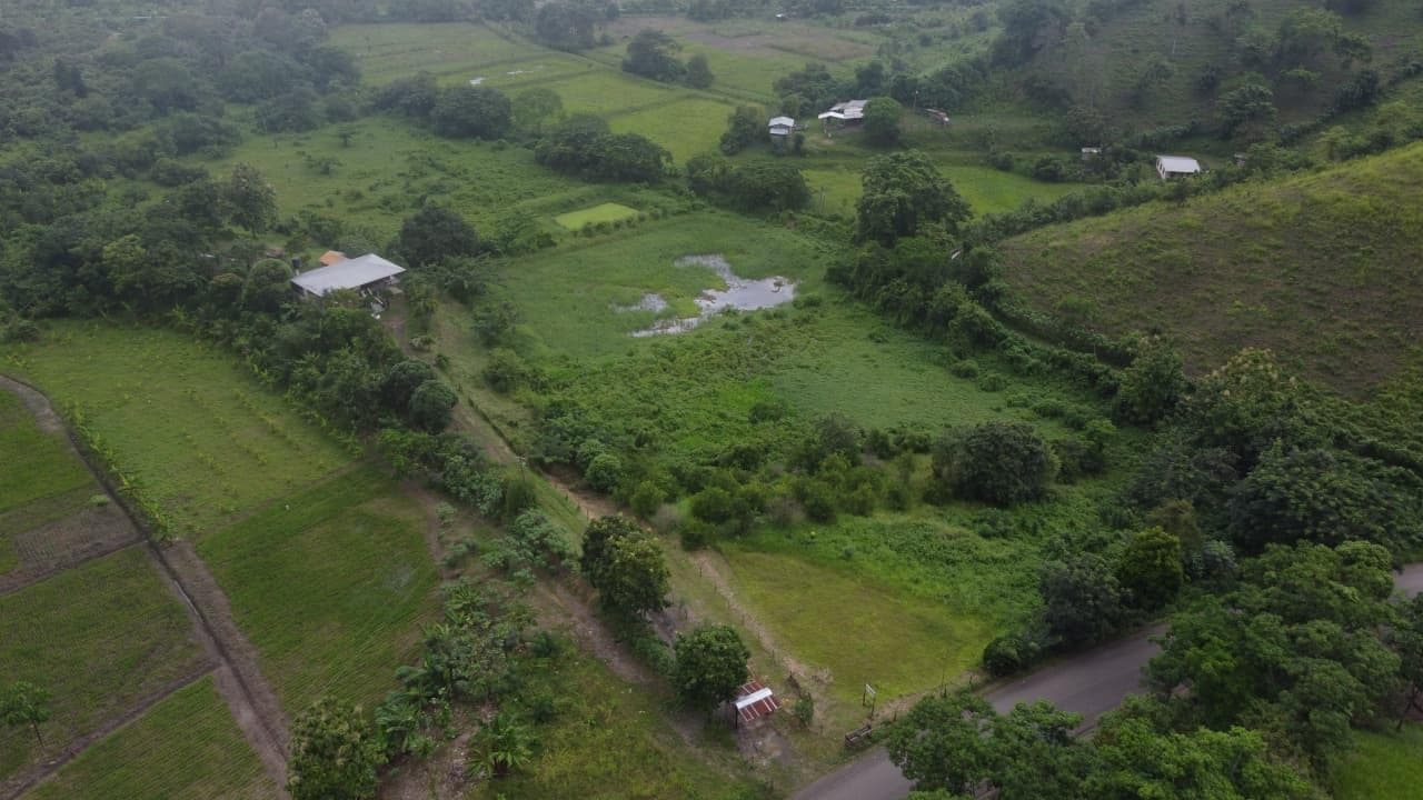 Venta Finca Recinto El Guabal Ciudad Calceta, Manabí, 7.4 Hectáreas, p.c. - 1