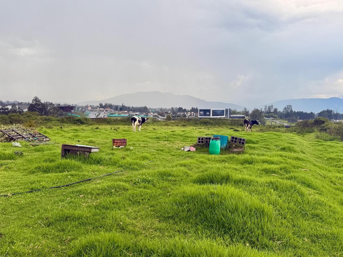 VeNdO terreno de 1 Ha. en Tababela (Redondel Aeropuerto y Vía Pifo El Quinche) - 1