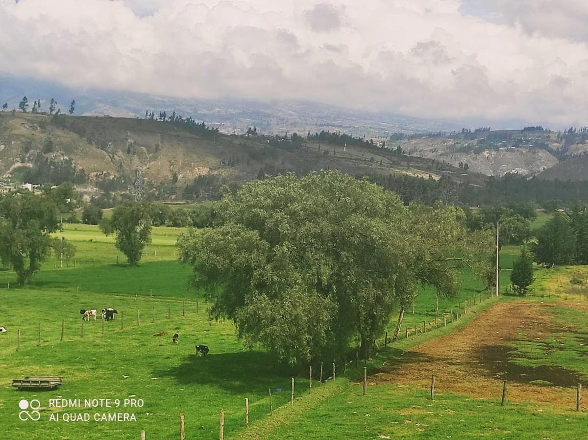 VENTA DE HACIENDA URBANA APTA PARA PROYECTOS INMOBILIARIOS Y PLANTACIONES EN SALCEDO - 1