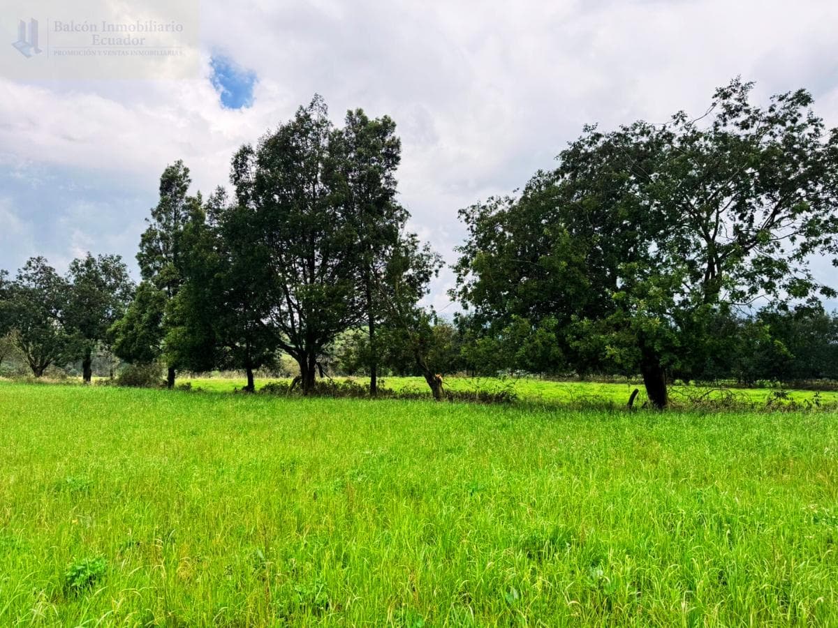 Finca ALOAG 40.50 HECTÁREAS, CASI TODA PLANA - 1