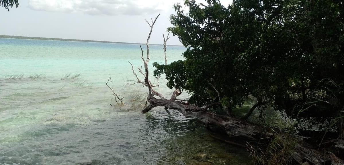 Terreno en bacalar con frente de laguna y títulos de propiedad - 1