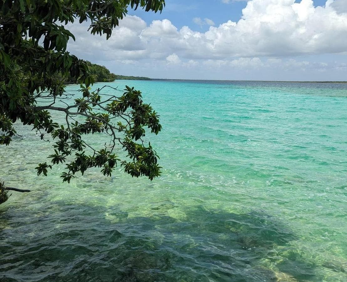 VENTA DE TERRENO BACALAR - 1