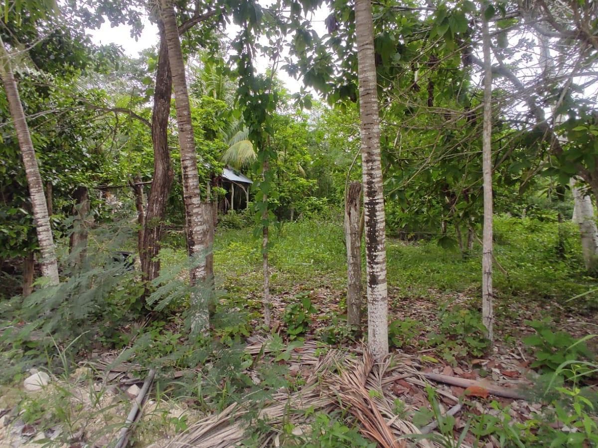 VENTA DE TERRENO EN BACALAR - 1
