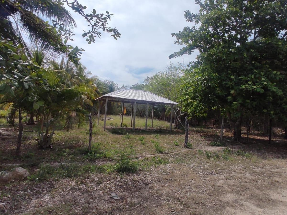 TERRENO EN BACALAR CERCA AL TREN MAYA - 1