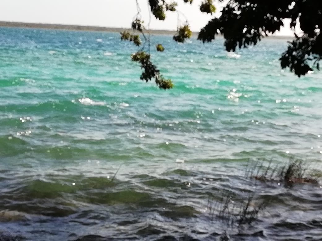Terreno en venta en la laguna de Bacalar - 1