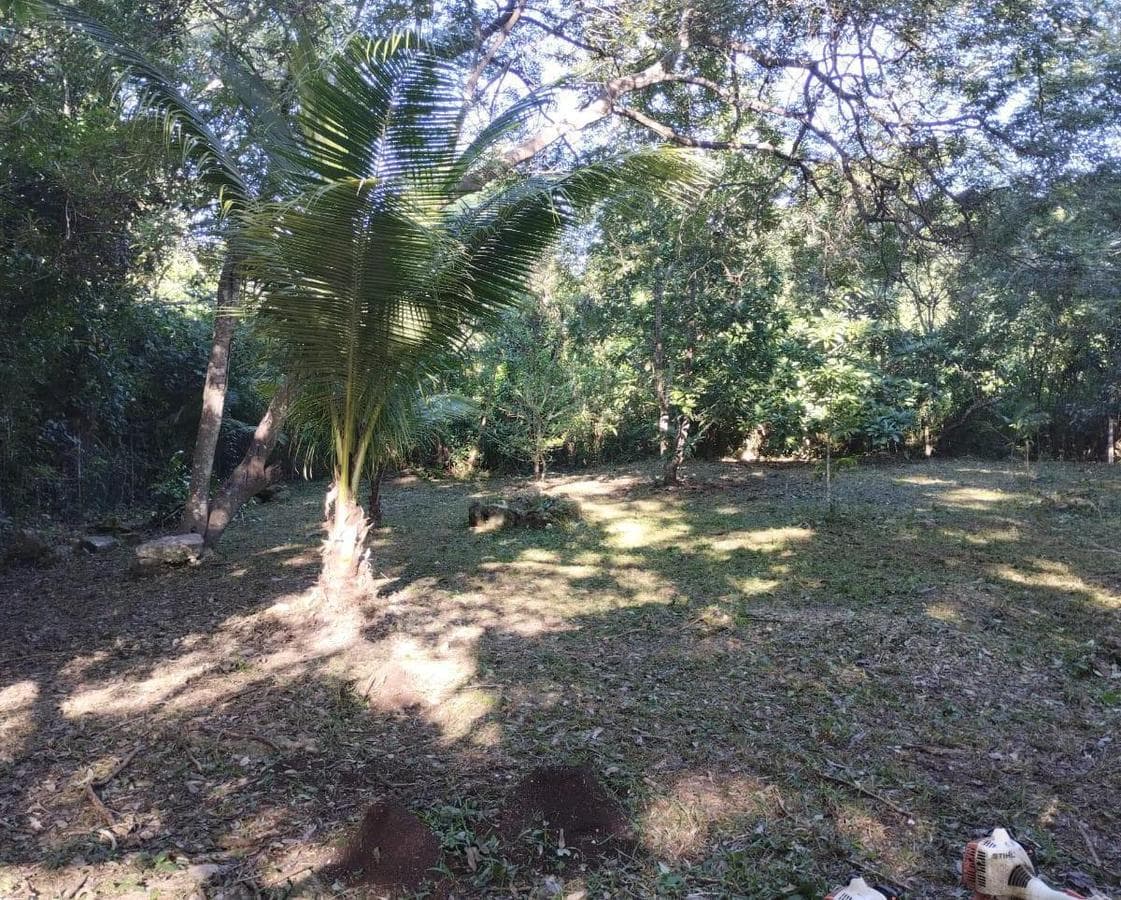 Terreno en Bacalar - 1