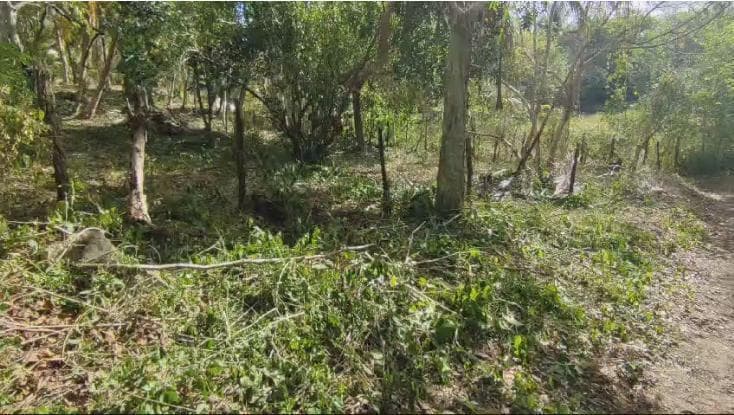 TERRENO EN VANTA BACALAR - 1