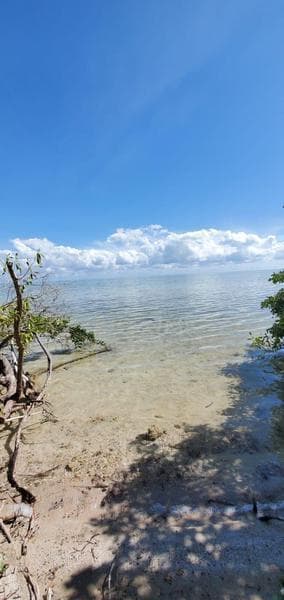 HECTAREAS FRENTE AL MAR EN CHETUMAL, QROO MX. - 1