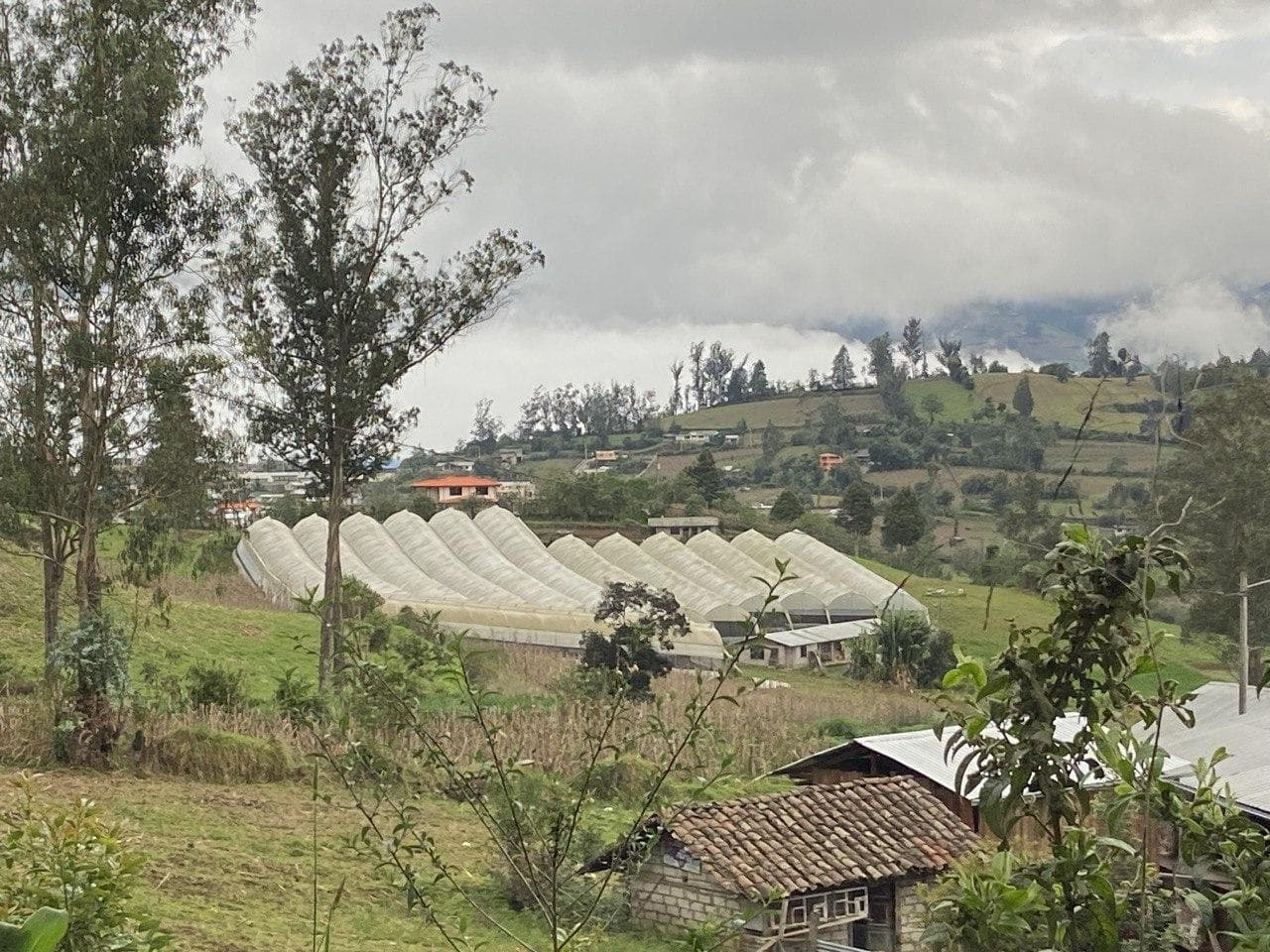 Terreno Agrícola con casa San Vicente (Prov. Bolívar) - 1