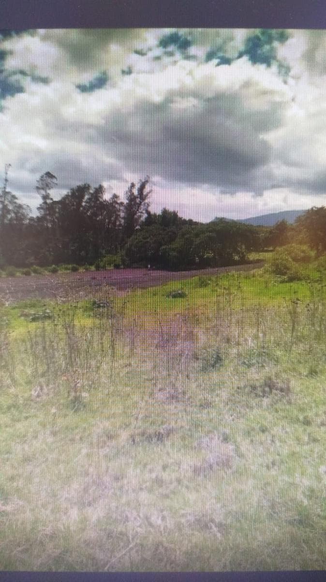 Mindo - Excelente terreno de 450 m2 en venta - 1