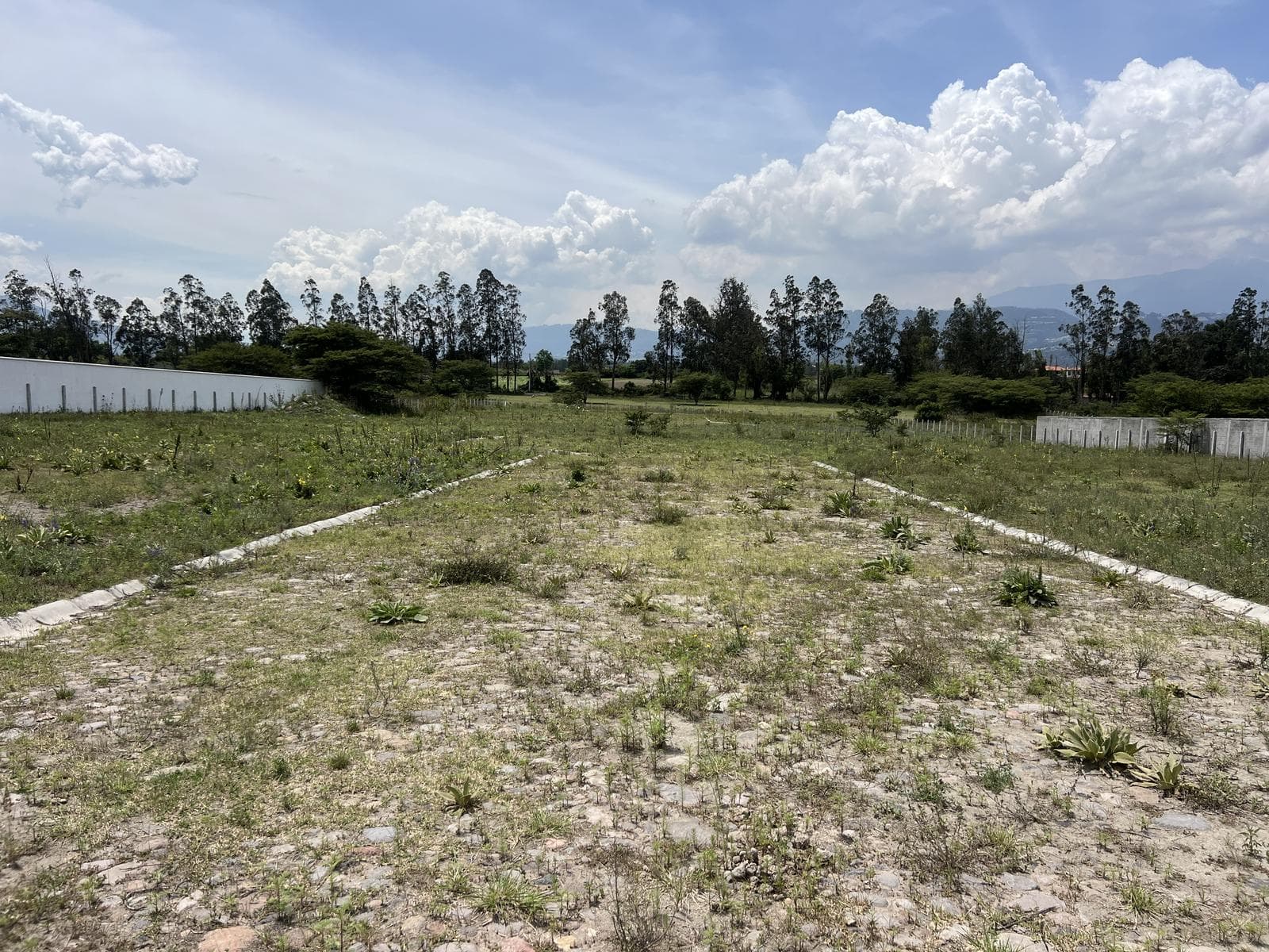 Venta 8 terrenos en Puembo en lotización de primara - 1