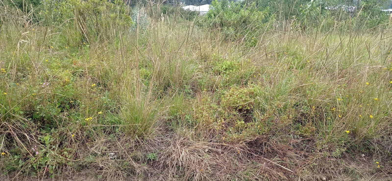 DE VENDE HERMOSO TERRENO EN EL PEDREGAL DE MIRANDA EN CONOCOTO - 1
