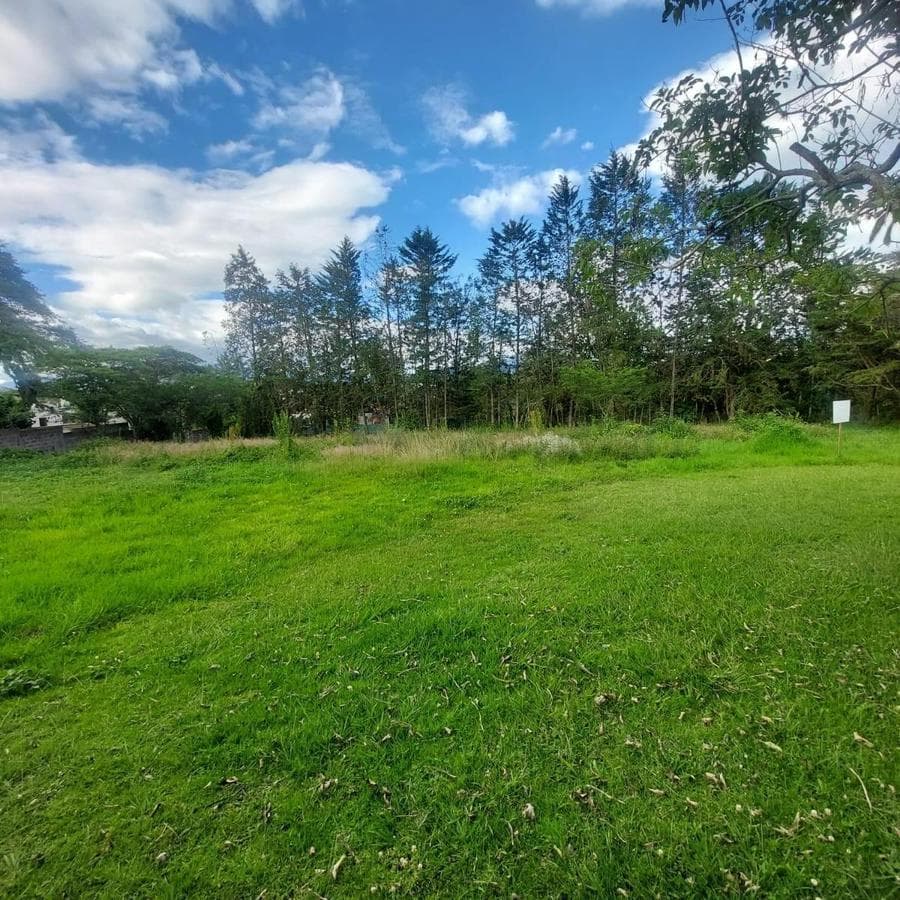 Terreno de 2364 m² en venta en Urb. Arrayanes, Puembo - 1