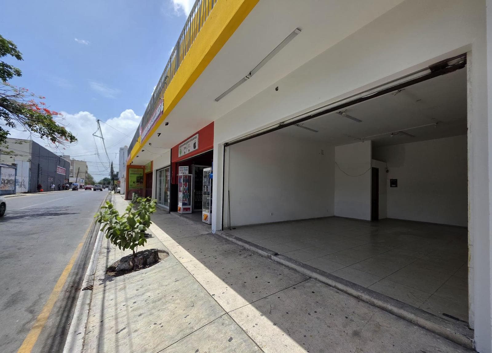 Local en renta planta baja centro - 1