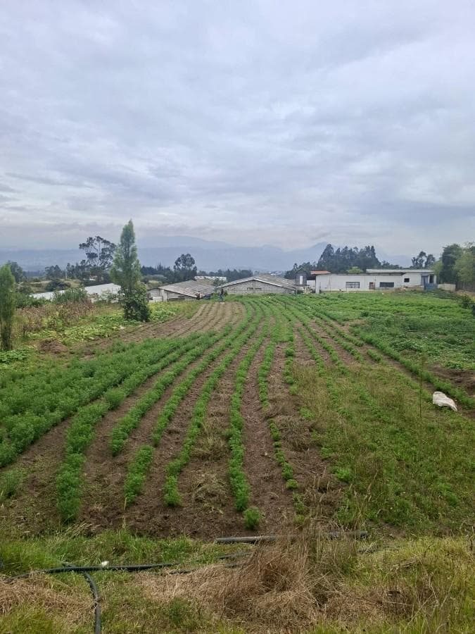 JAL Venta Terreno Iguiñaro El Quinche 15.000m2 para florícola, turismo... - 1