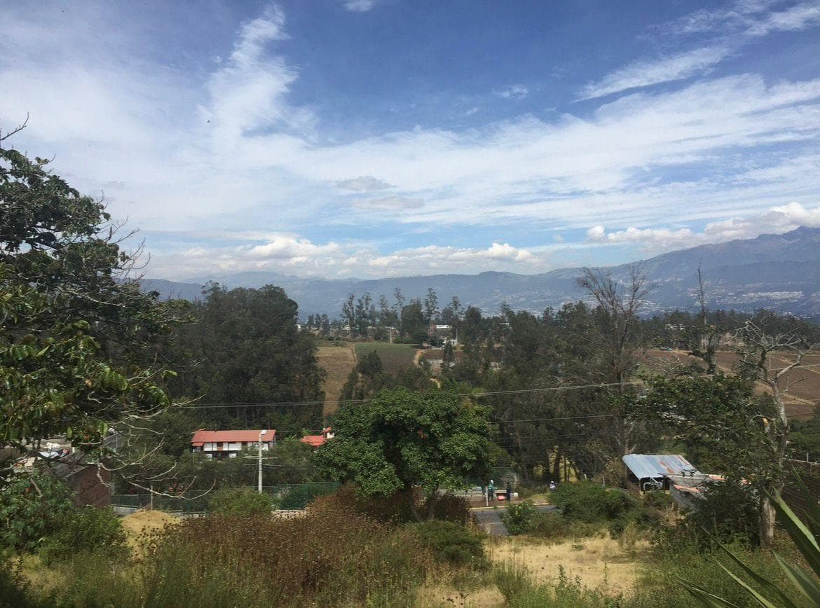 Terreno en Venta, ubicación privilegiada sector de Puembo - 1