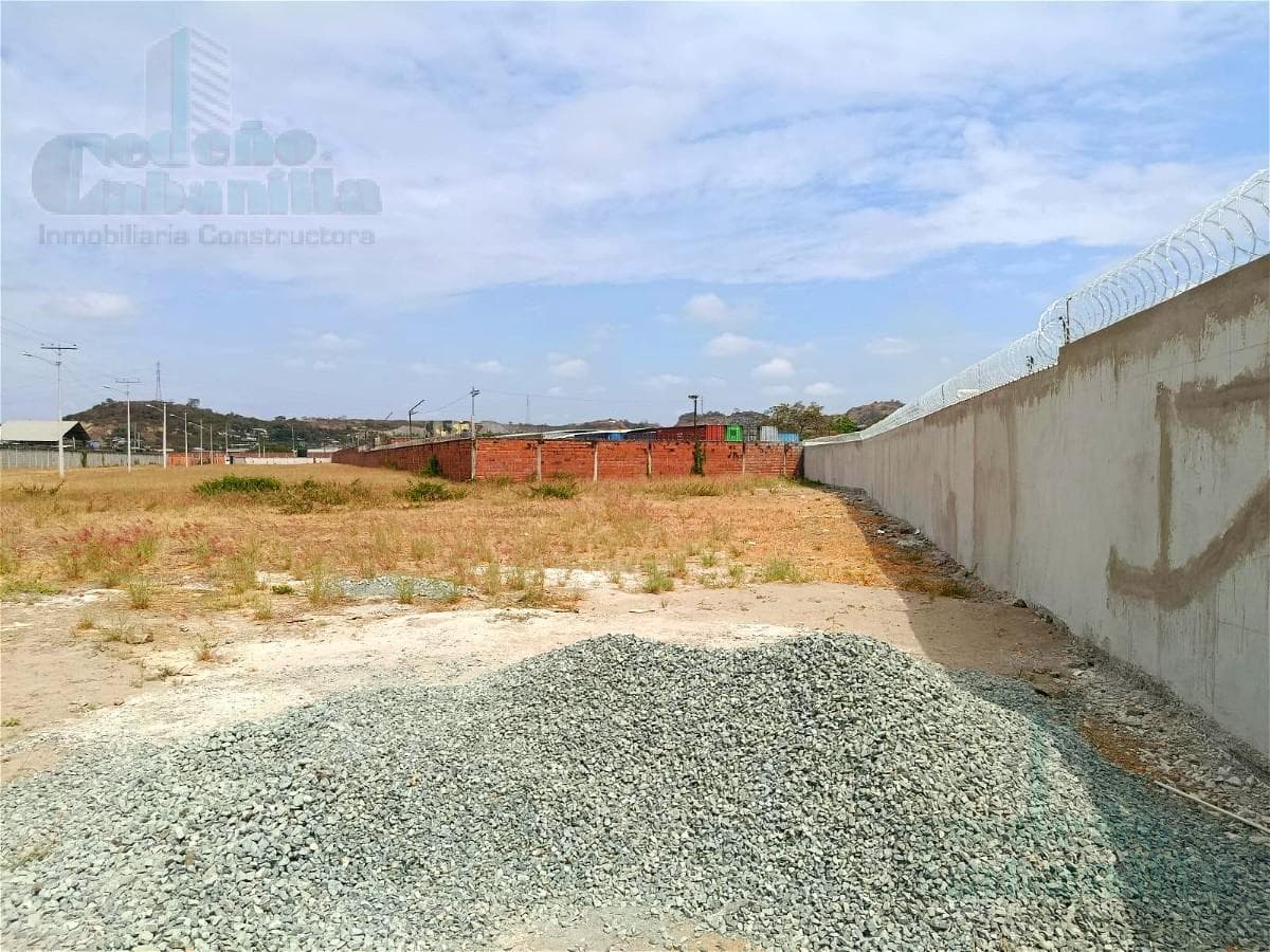 VENTA DE TERRENO EN LOCALIDAD PETRILLO USO COMERCIAL E INDUSTRIAL - 1