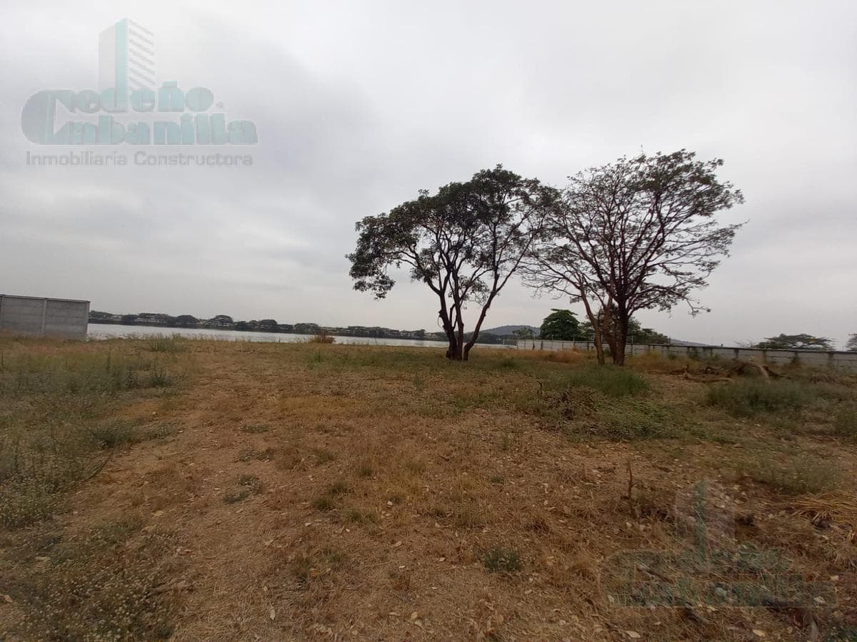 ALQUILER TERRENO 2500M2 KM.14 AV. FEBRES CORDERO - 1