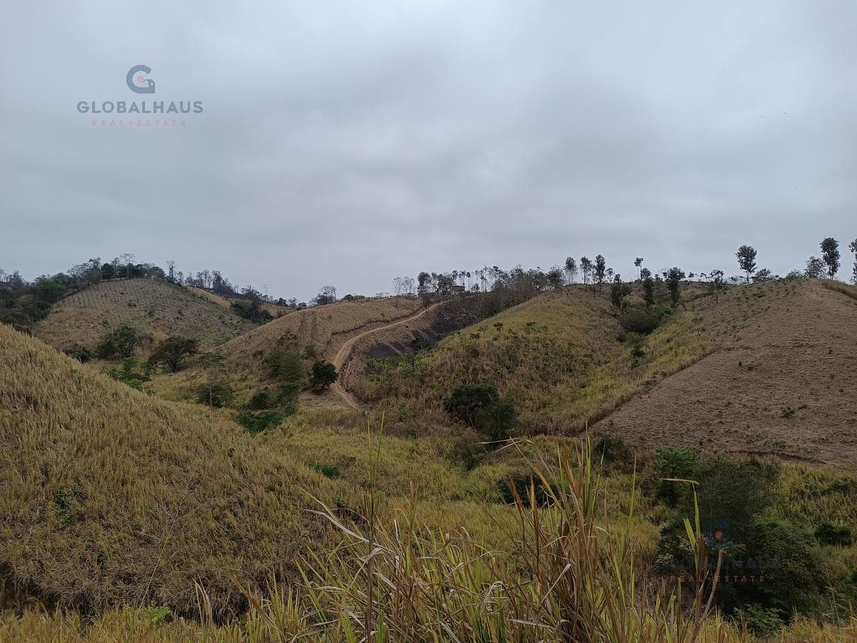 Venta de macrolote finca limonal santa elena con 210 hectareas - con agua subsuelo C.P. - 1