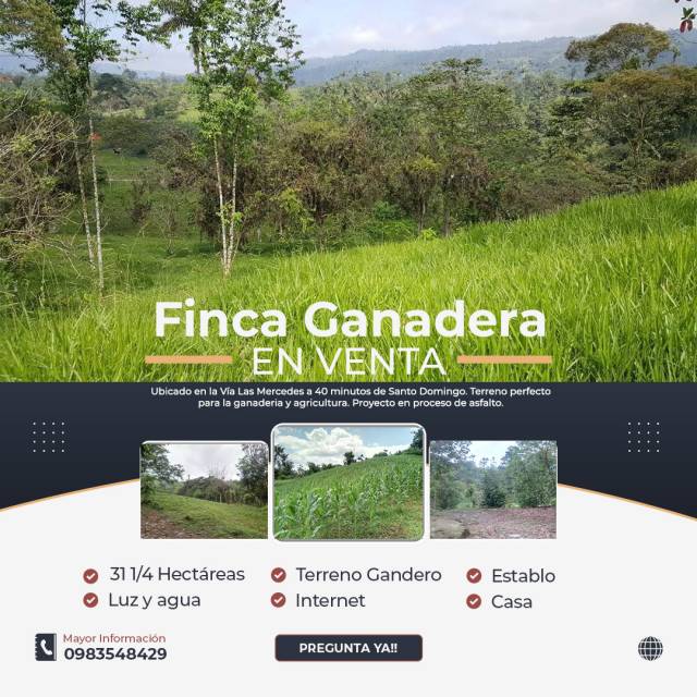 Venta de Finca Ganadera 31 Hectareas