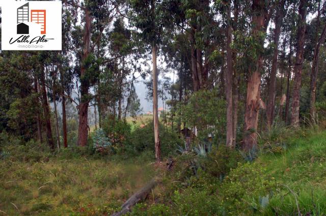 TERRENO AMPLIO Y FUNCIONAL EN SAN CRISTOBAL