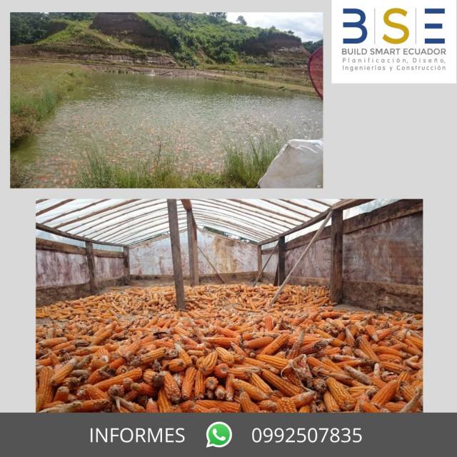 Inversionistas Finca Productora de Tilapias 46.97 Hectáreas