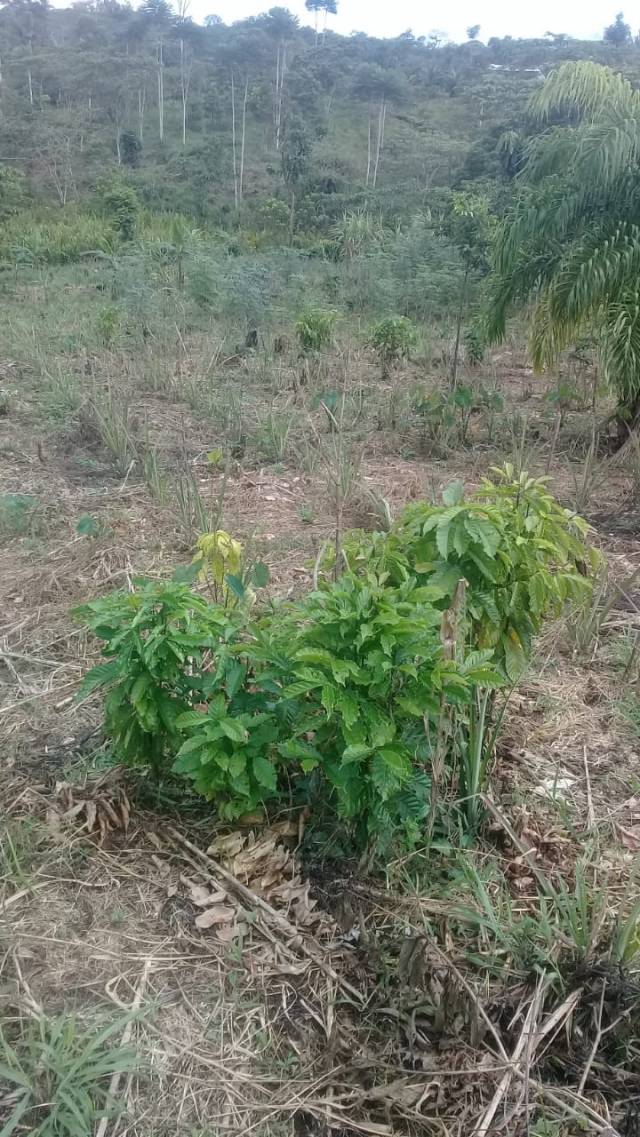 De oportunidad se vende una Finca