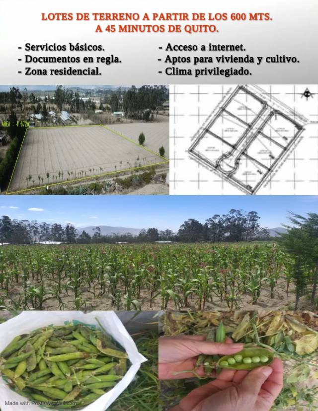 HERMOSOS LOTES DE TERRENO PLANOS A 45 MINUTOS DE QUITO