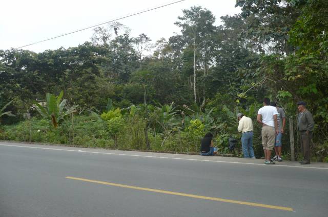 Terreno de Oportunidad