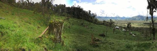 Venta De Finca Agro-ganadera En Baeza