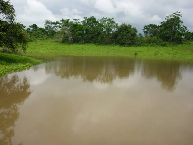 alquilo terreno en Colimes