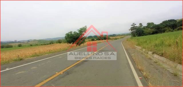 Hacienda / Terreno de 55,62 hectáreas en venta en Nobol, Petrillo - al pie de una vía asfaltada