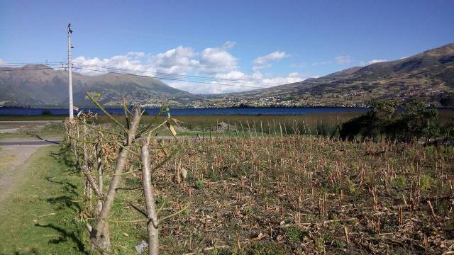 EN OTAVALO HERMOSO TERRENO CON VISTA AL LAGO SAN PABLO