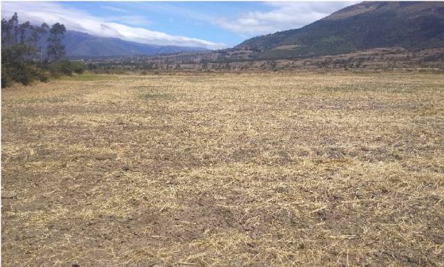 TERRENO DE 7000 m2 CON HERMOSA VISTA, EN SAN ANTONIO DE IBARRA