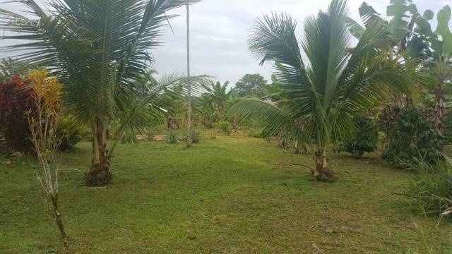 Una Vida sin stress en un lugar hermoso!!