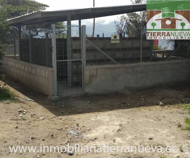 VENDO 2 HECTAREAS DE TERRENO  EN MALCHINGUI