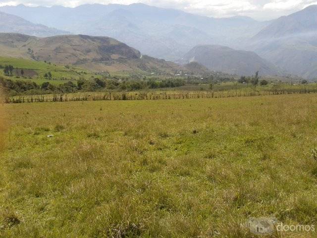 TERRENO DE 7 HECTAREAS Y MEDIA EN PAGMA / ALAUSI