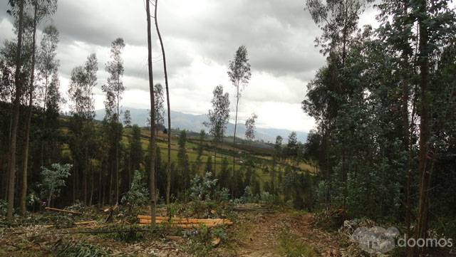 Vendo propiedad de 4.6 hectareas en Otavalo, sector Imbabuela