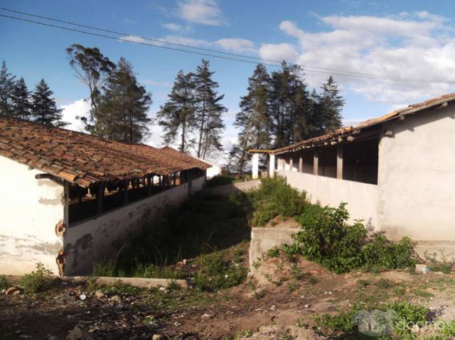 Vendo propiedad de 1 hectarea en Chaltura