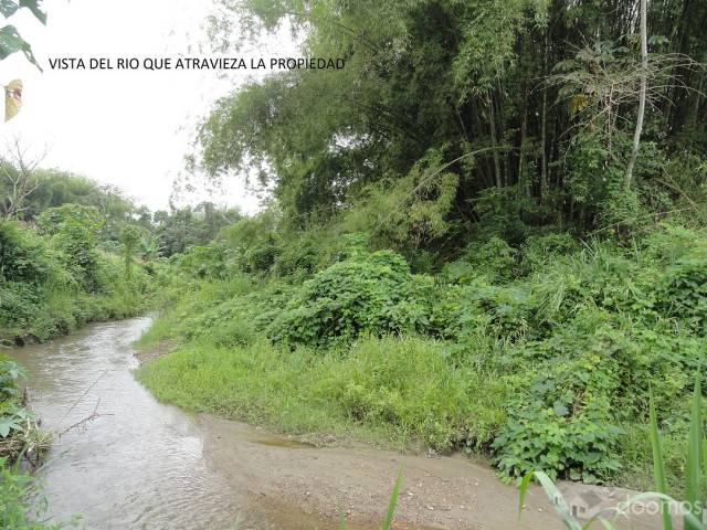 VENDO LOTE DE TERRENO DE 28 Has. en Guayas