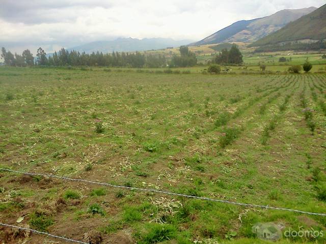 Gran Oportunidad, Terreno de 2 Hectáreas en Ayora Cayambe