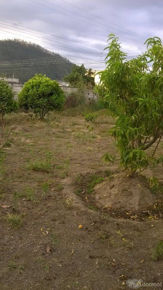 VENDO UN LOTE EN CIUDADELA RUMIÑAHUI DE OTAVALO