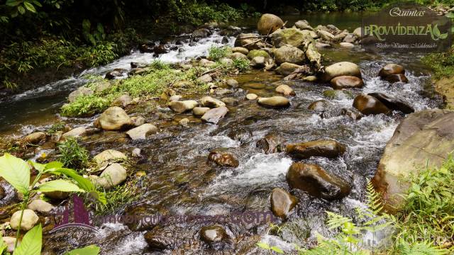 Inversión segura en Quintas Provvidenza