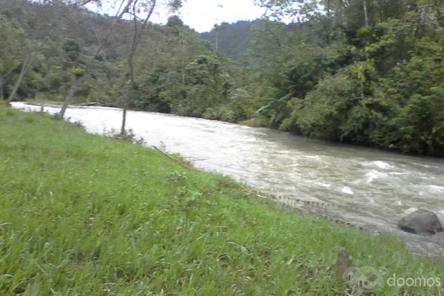 REGALO  BONITA FINCA EN SECTOR DE NAMBILLO - MINDO DE 22 HECTAREAS