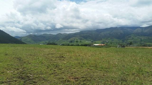 EN VENTA TERRENO DE 5000M2 EN CAYAMBE