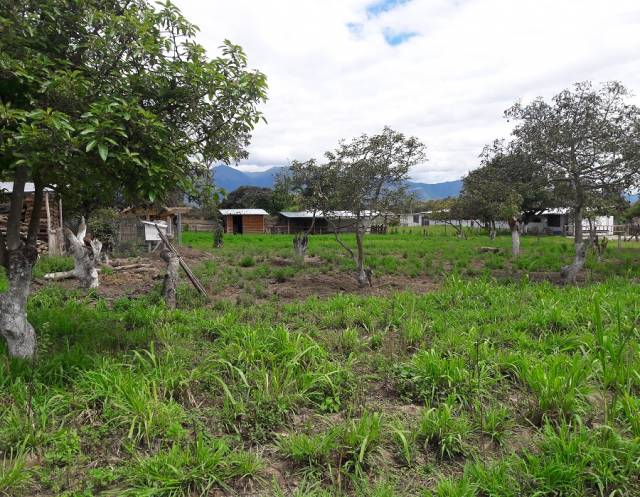 VENDO HERMOSA FINCA AGROINDUSTRIAL EN CHALTURA